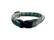 Available Now! Collar - Size Mini